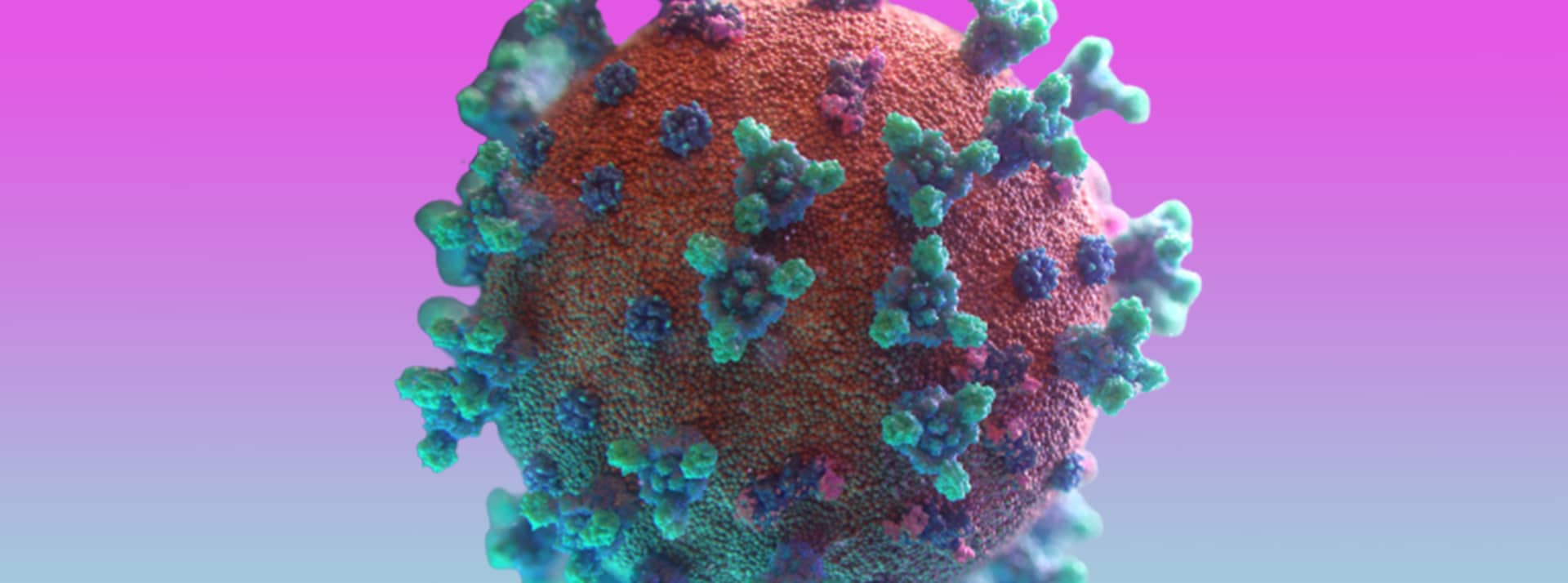 virus virus