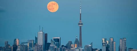 Futur de l'assurance