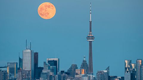 Futur de l'assurance