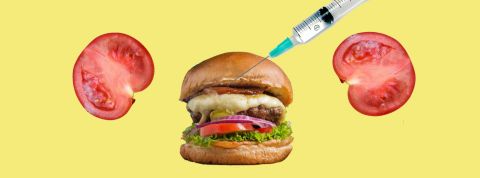 Comment demain pour notre nourriture pourrait être conçue sur mesure en fonction de notre ADN Sur fond jaune, deux tranches de tomate et un burger dans lequel se plante une seringue