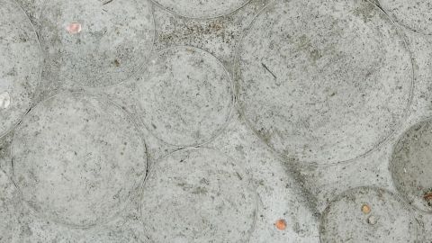 installation au sol construite avec un mélange de terre, de béton et de graines de fleurs sauvages par Jenine Marsh