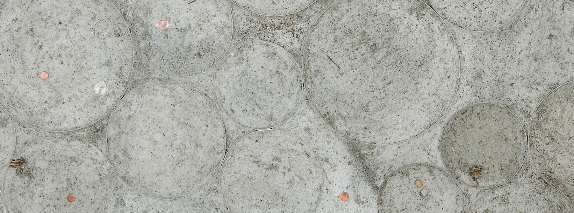 Archéologie du présent pour monde en disparition installation au sol construite avec un mélange de terre, de béton et de graines de fleurs sauvages par Jenine Marsh