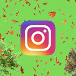 Logo d'Instagram entouré d'arbres et de feuilles d'automne