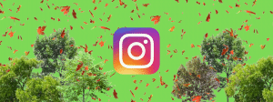 Logo d'Instagram entouré d'arbres et de feuilles d'automne