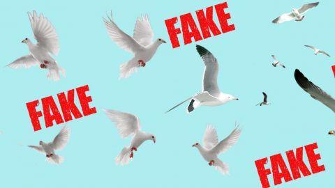 Des oiseaux sur fond bleu avec les mots fakes en rouge autour