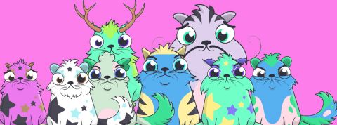 Kitties Kitties