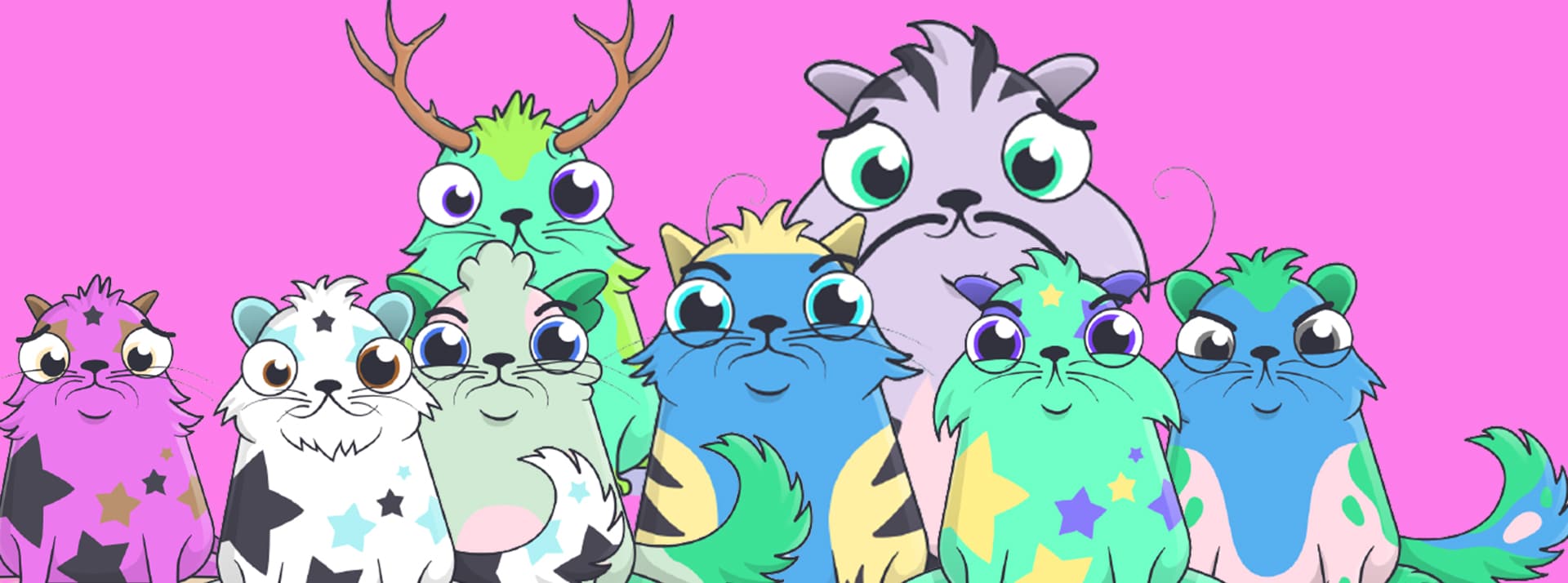Kitties Kitties