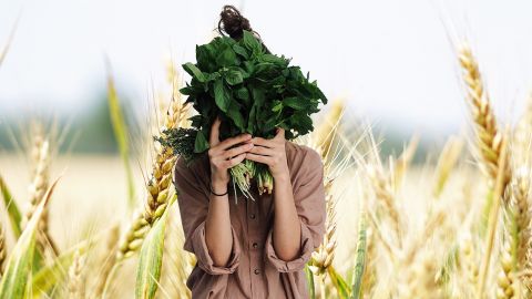 Jeune femme tenant des herbes devant son visage sur fond de champs de blé