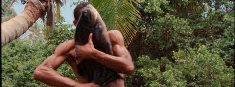 RETROUVER NOTRE HARMONIE AVEC LA NATURE RETROUVER NOTRE HARMONIE AVEC LA NATURE