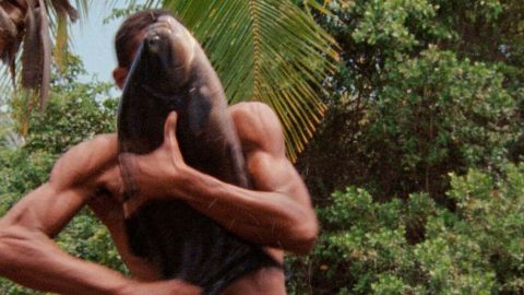 RETROUVER NOTRE HARMONIE AVEC LA NATURE RETROUVER NOTRE HARMONIE AVEC LA NATURE