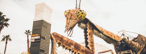 neonbrand-CpP9L0UOOL4-unsplash neonbrand-CpP9L0UOOL4-unsplash