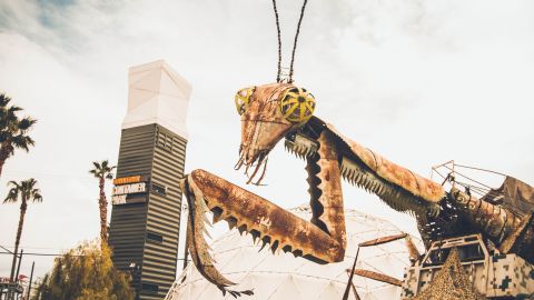 neonbrand-CpP9L0UOOL4-unsplash