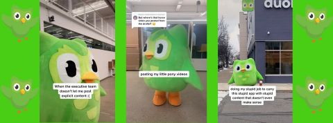 Non-sens, humour potache... la recette gagnante de Duolingo sur TikTok Captures d'écran du compte de Duolingo sur TikTok