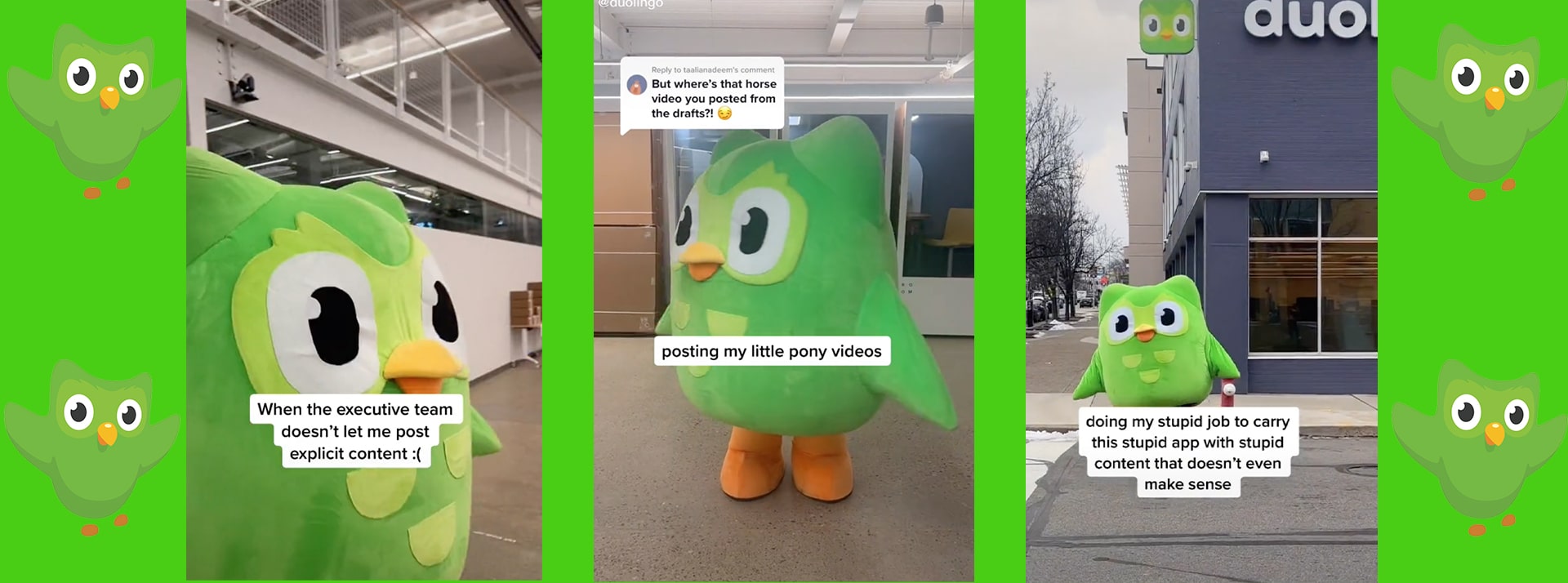 Non-sens, humour potache... la recette gagnante de Duolingo sur TikTok Captures d'écran du compte de Duolingo sur TikTok