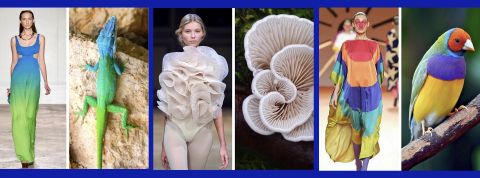 Fashion biologique Insta Images issues du compte fashion.biologique sur Insta