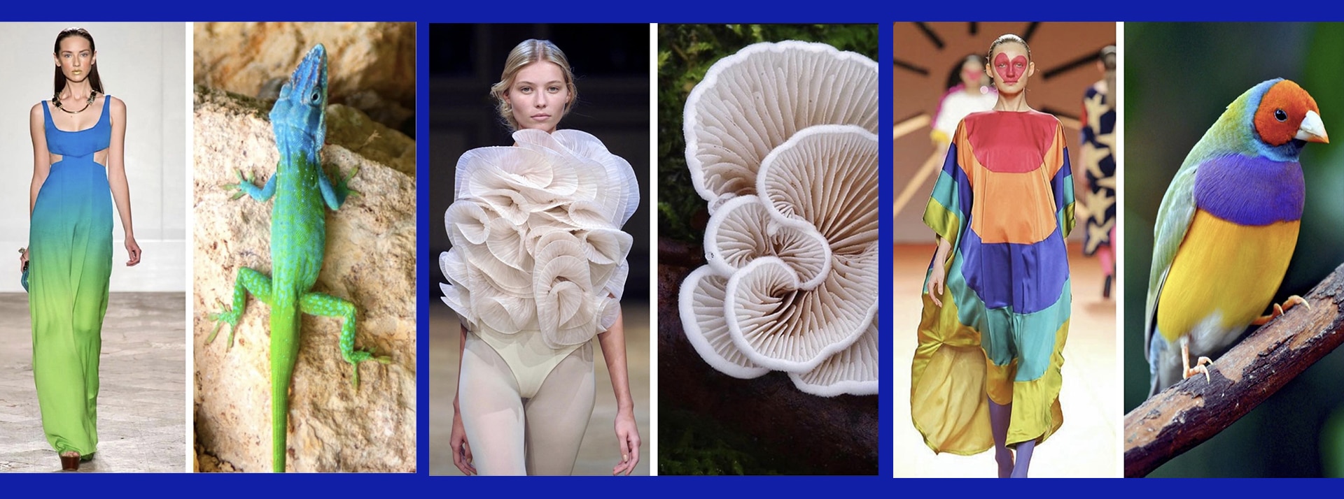 Fashion biologique Insta - L'ADN Images issues du compte fashion.biologique sur Insta