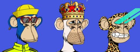 Qui sont les Bored Apes, les singes les plus VIP du web ? 3 Bored Apes