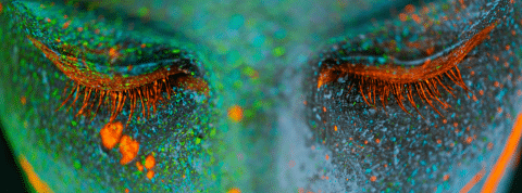 Tous sous coach Un visage recouvert de paillettes vertes