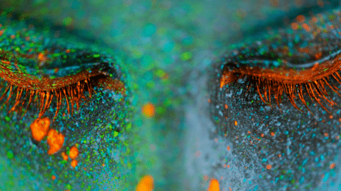 Un visage recouvert de paillettes vertes