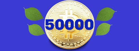 50000 50000