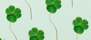 des trèfles sur fond vert clair