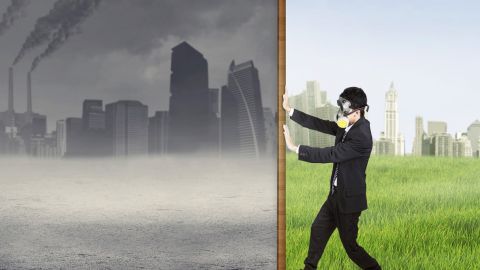 deux tableaux : industriel et vert