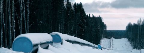 Dmitry_Savin Dmitry_Savin