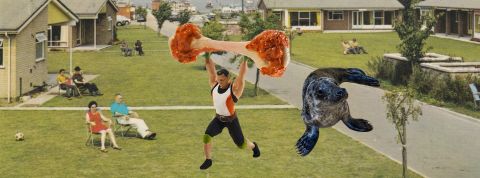 5 sites à suivre pour ne pas avoir envie de se tirer une balle Une banlieue des années 50