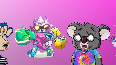 NFT Des images de singes et de chats moches qui coûte un rein.