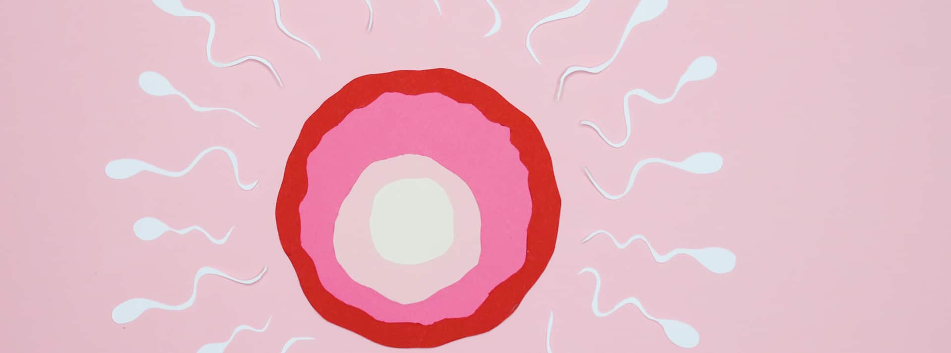 infertilité - L'ADN illustration ovule et spermatozoides en sens inverse