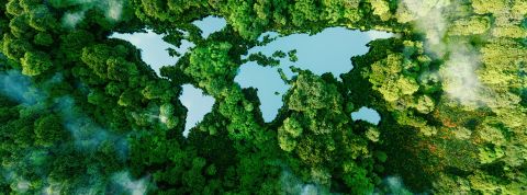 Rapport du GIEC 2022 : il n’est pas trop tard pour sauver la planète ! Rapport du GIEC 2022 : il n’est pas trop tard pour sauver la planète !