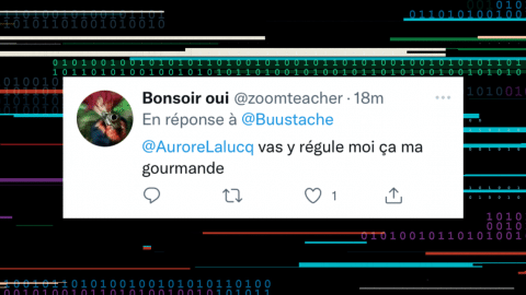 aurore lalucq cryptotrolls