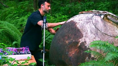 Sur TikTok, Modern Biology parvient à composer de la musique avec des plantes Sur TikTok, Modern Biology parvient à composer de la musique avec des plantes