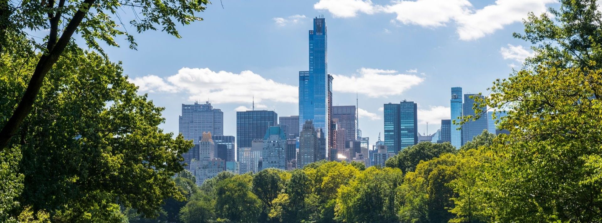 Central Park à New York, un "laboratoire" pour étudier le changement climatique dans central park - L'ADN Central park