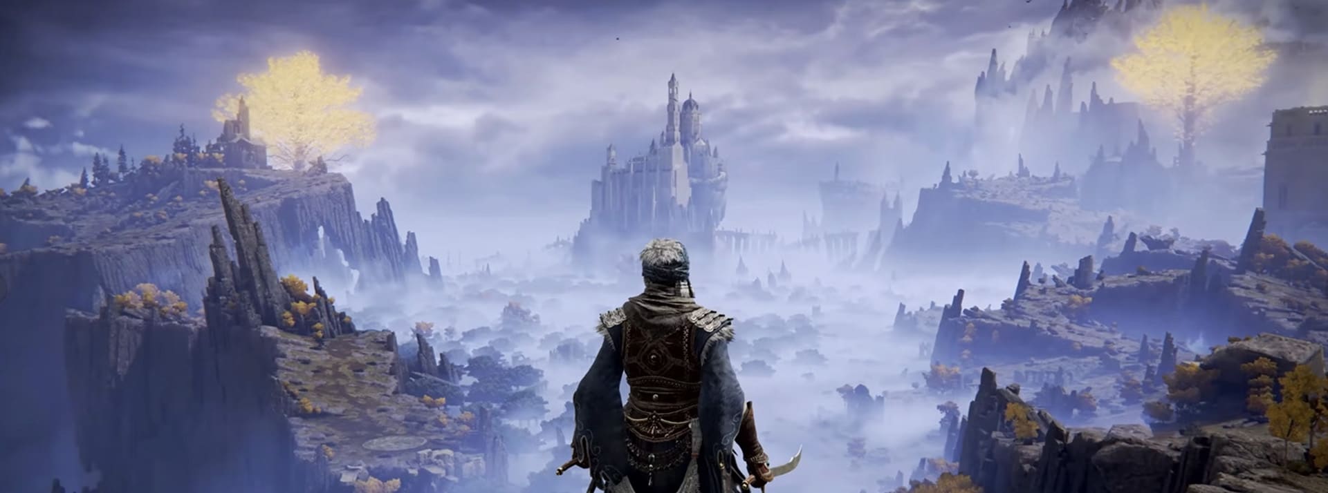Visuel du jeu vidéo Elden ring