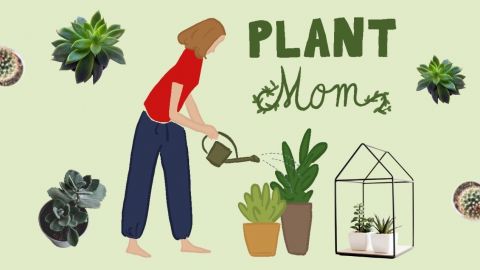 Sur fond vert pâle, une fille arrose des plantes vertes