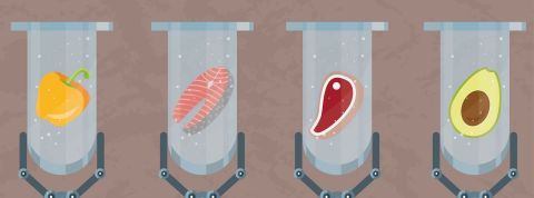 Comment lutter contre le réchauffement climatique au moment des repas : zoom sur les aliments du futur Les produits cultivés en laboratoire ou produits synthétiques