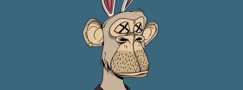 hacker-vole-un-million-dollars-NFT-Bored-Ape-Yacht-Club-singes- piratage-Instagram Singe NFT du Bored Ape Yacht Club