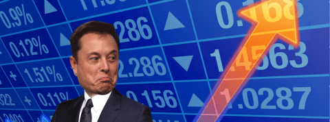 musk musk