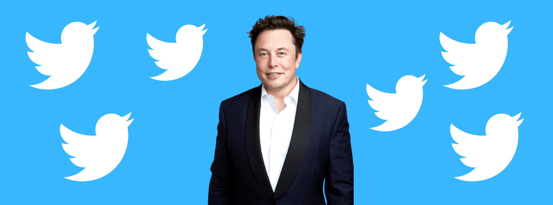 Elon Musk et Twitter - L'ADN Elon Musk et Twitter