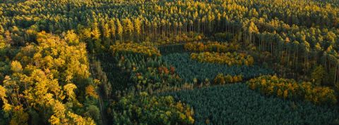 pexels-marcin-jozwiak-5885221 pexels-marcin-jozwiak-5885221