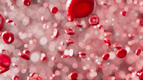 Globules rouges