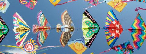 Agniezka Ziomek Cerfs volants