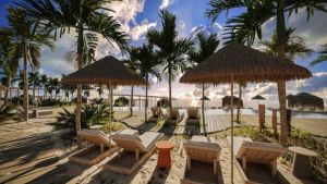 Complexe hotelier ! parasols, palmiers