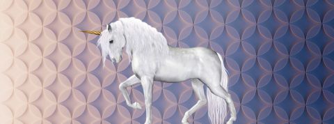 Licoornes Un licorne blanche de profil