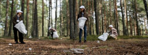 Ron-Lach-ecolo Ron-Lach-ecolo