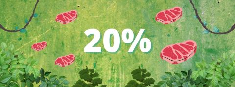 viande deforesta viande deforesta