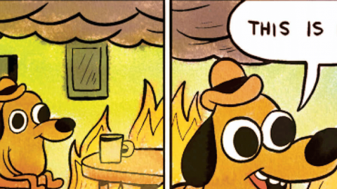 Une chien souriant dans une maison en flamme