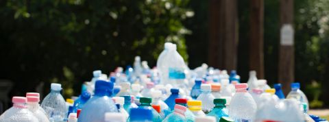 pexels-mali-maeder-802221(1) pexels-mali-maeder-802221(1)