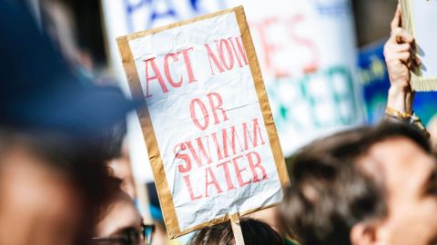 Pancarte manifestation : Act Now or Swimm Later